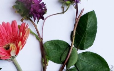 Ist Natur­kos­me­tik wirklich besser?