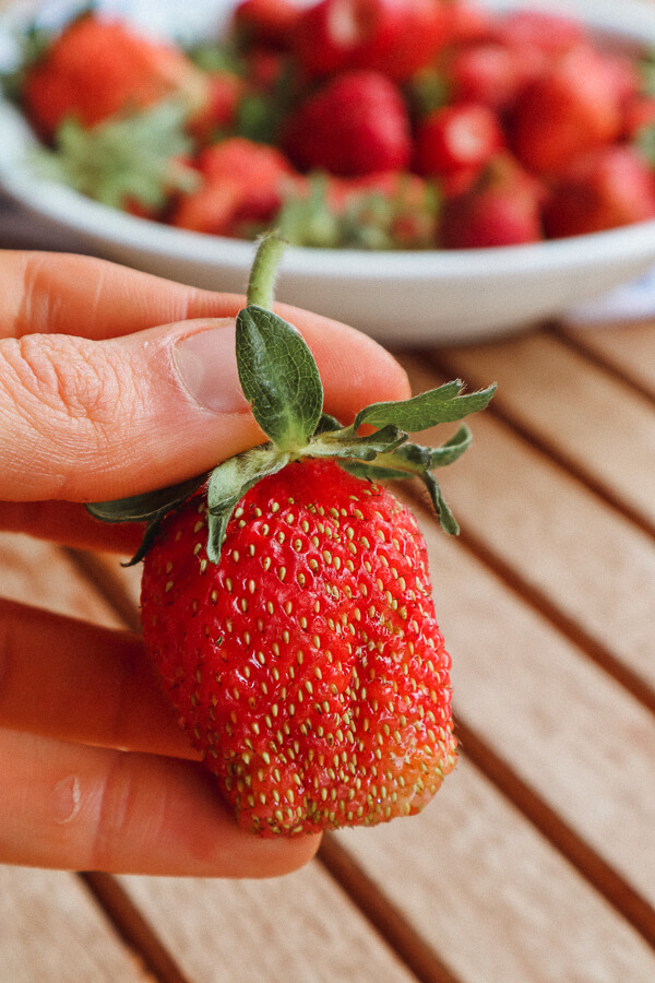Erdbeeren Pestizide: So belastet sind erdbeeren