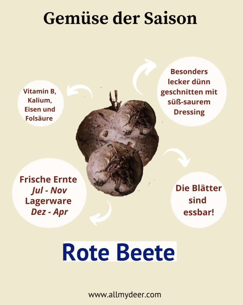 Rote Bete ist ein tolles Wintergemüse und schmeckt super lecker als Salat