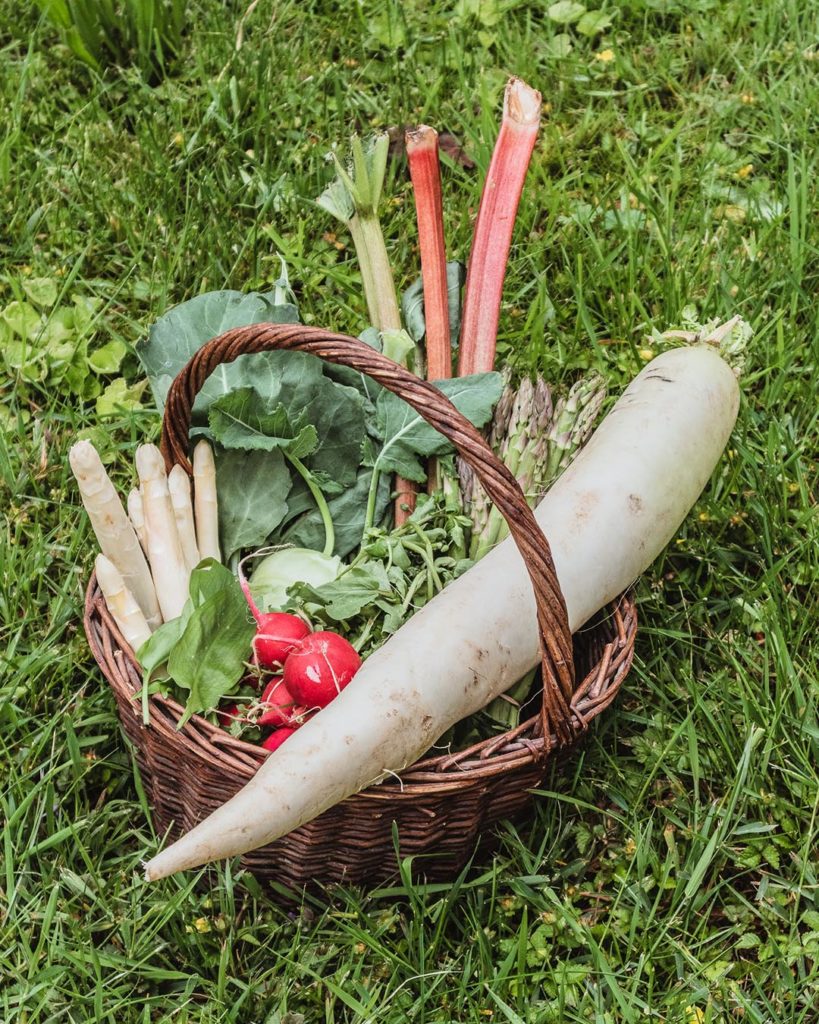 Saisonkalender Frühling: Obst und Gemüse jetzt in Saison