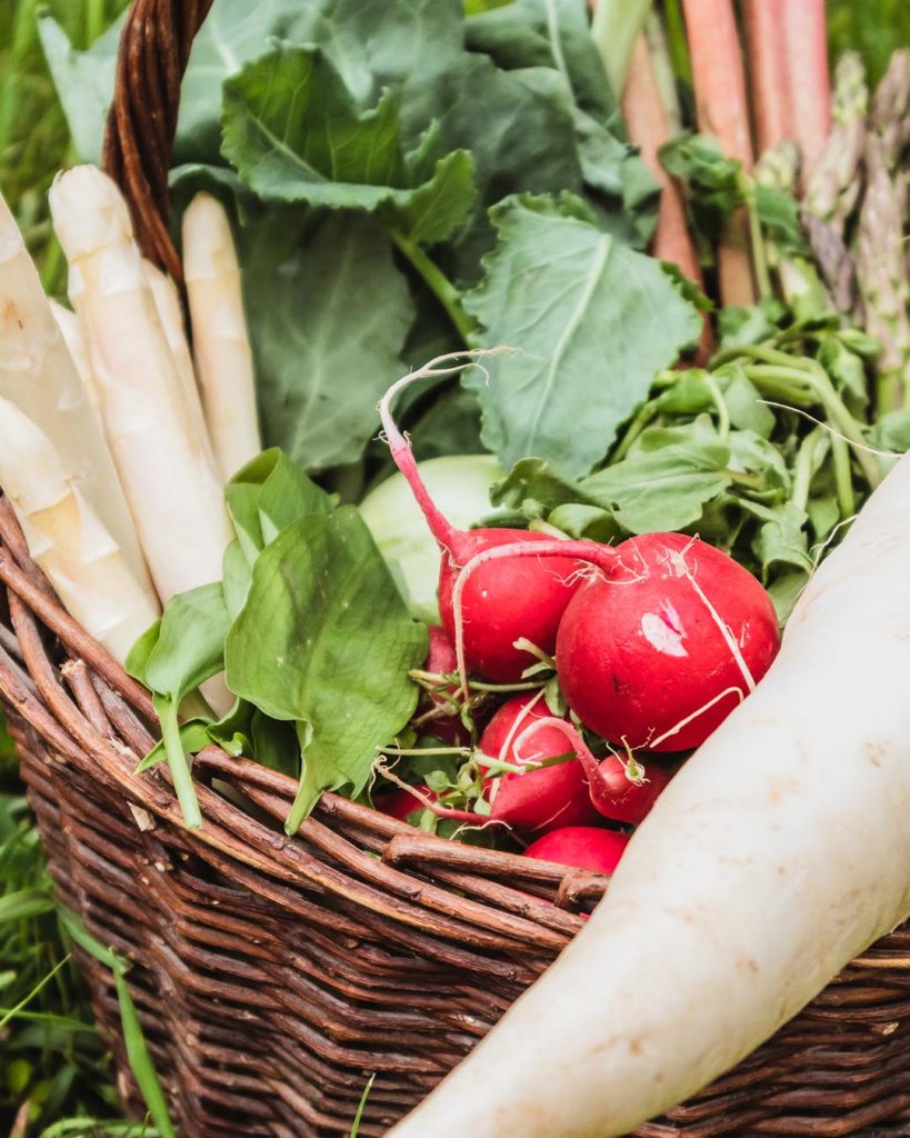 Frühlingsgemüse: Das gibt es jetzt in der Saison 