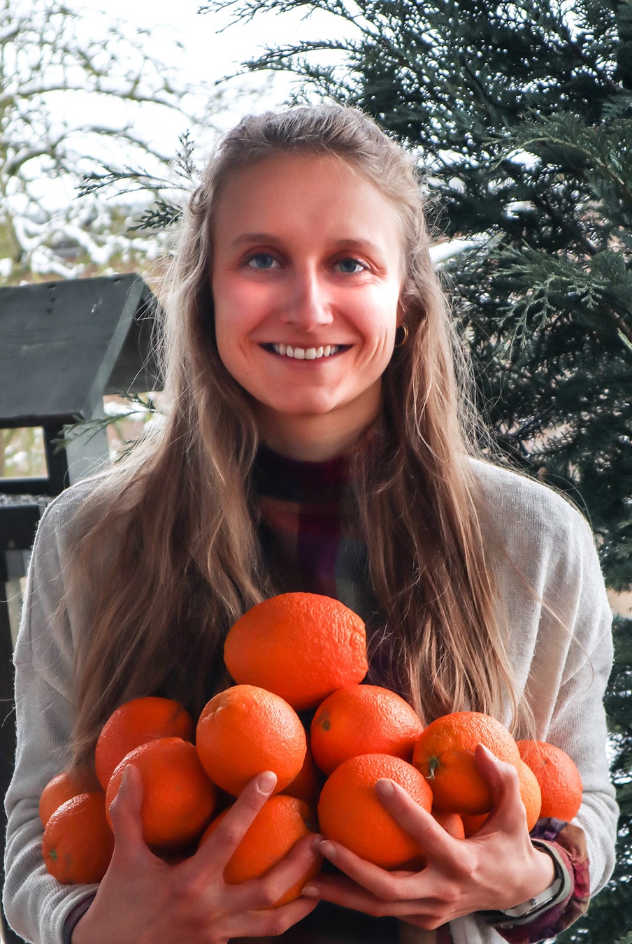 Bio-Orangen-saisonal-fair Bio Orangen saisonal und fair kaufen