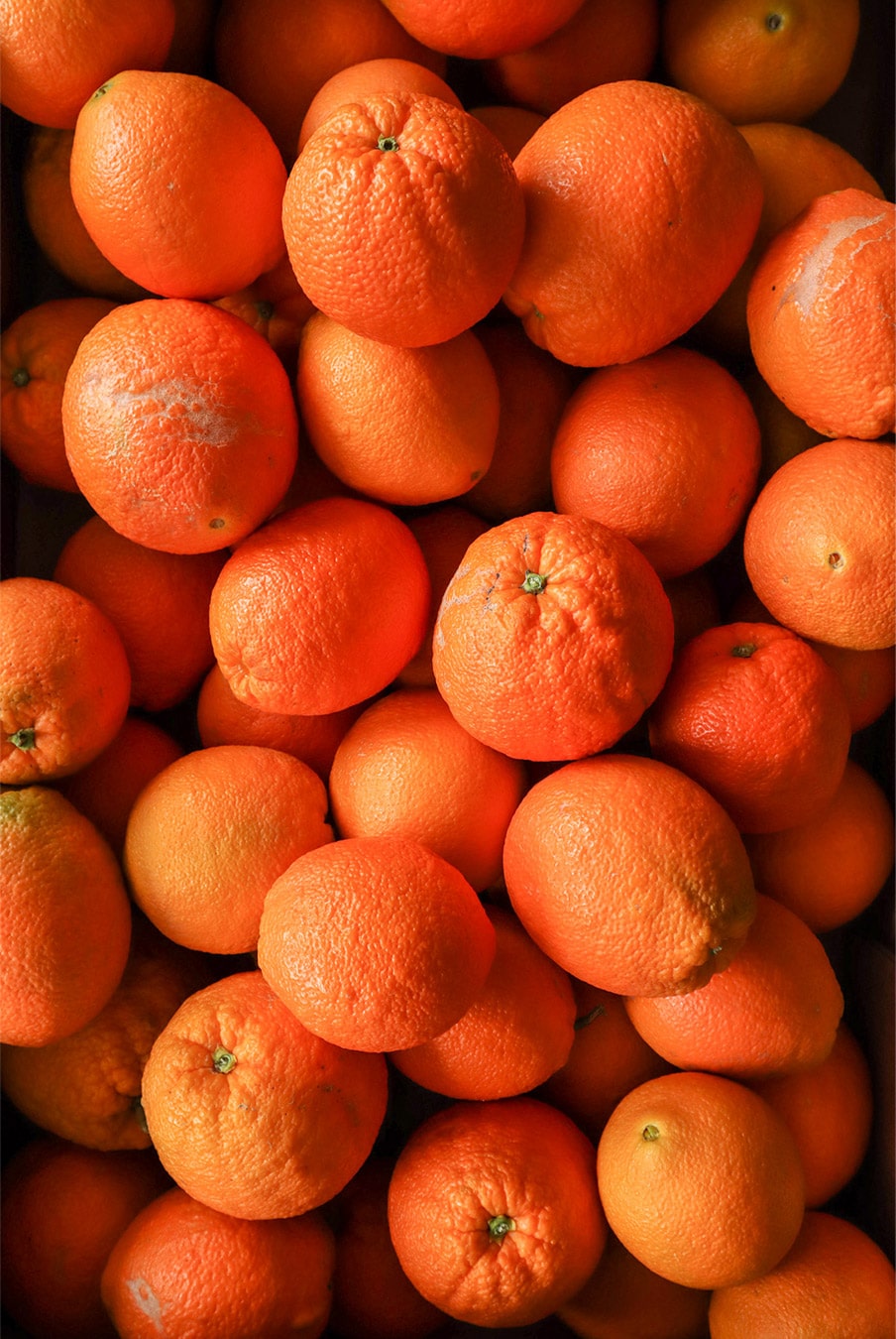 Echte-Orangen Die vielleicht besten Orangen der Welt!