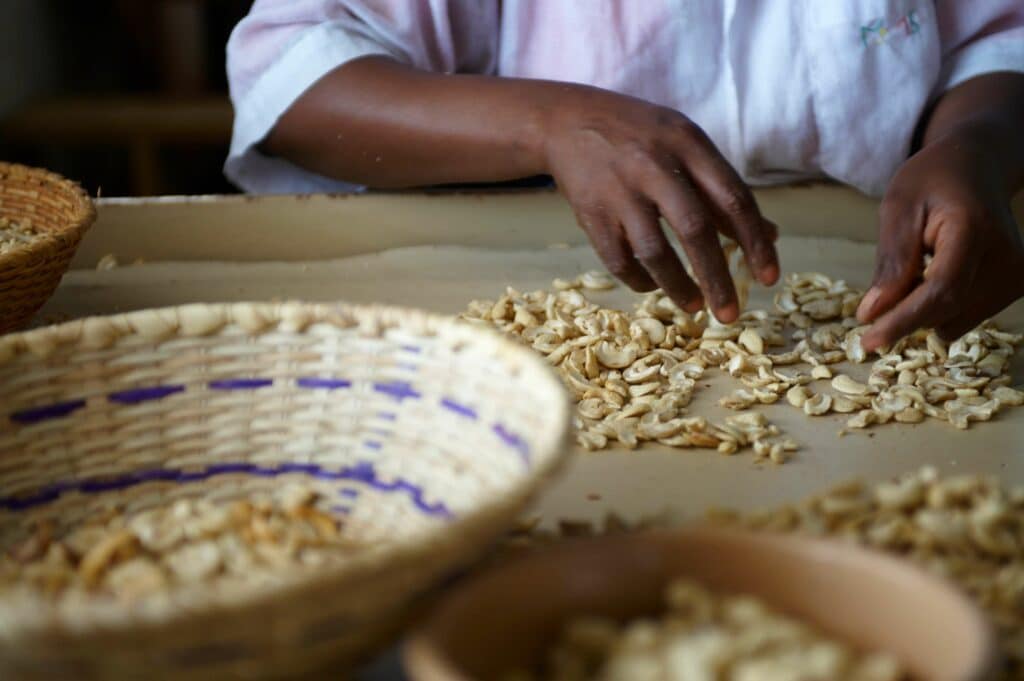 Cashew verarbeiten