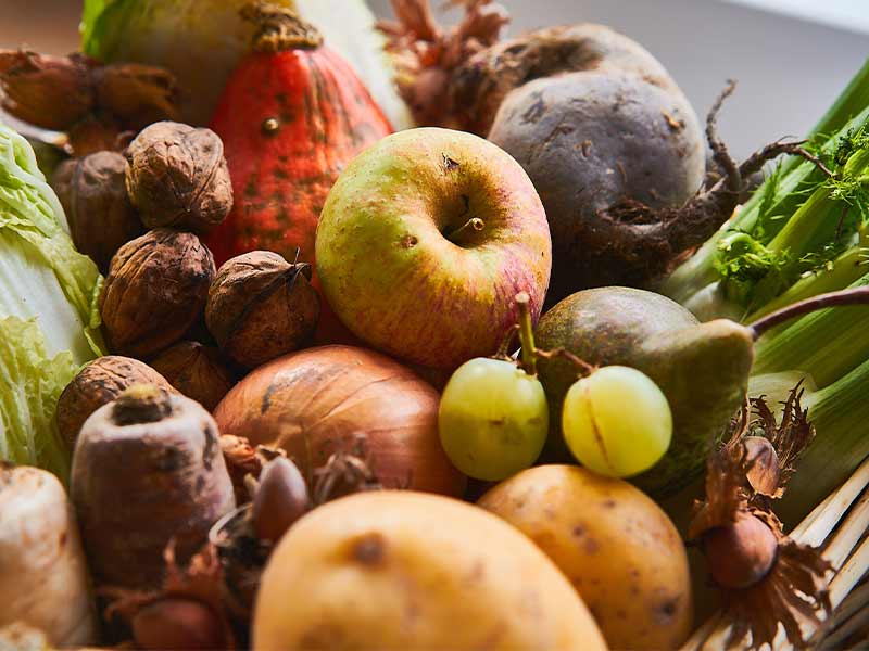 Saisonkalender Herbst: das gibt es jetzt saisonal und regional